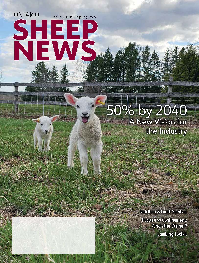 Spring 2026 Issue