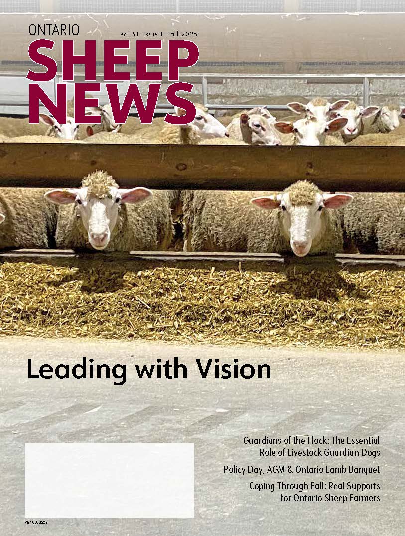 Fall 2025 Issue