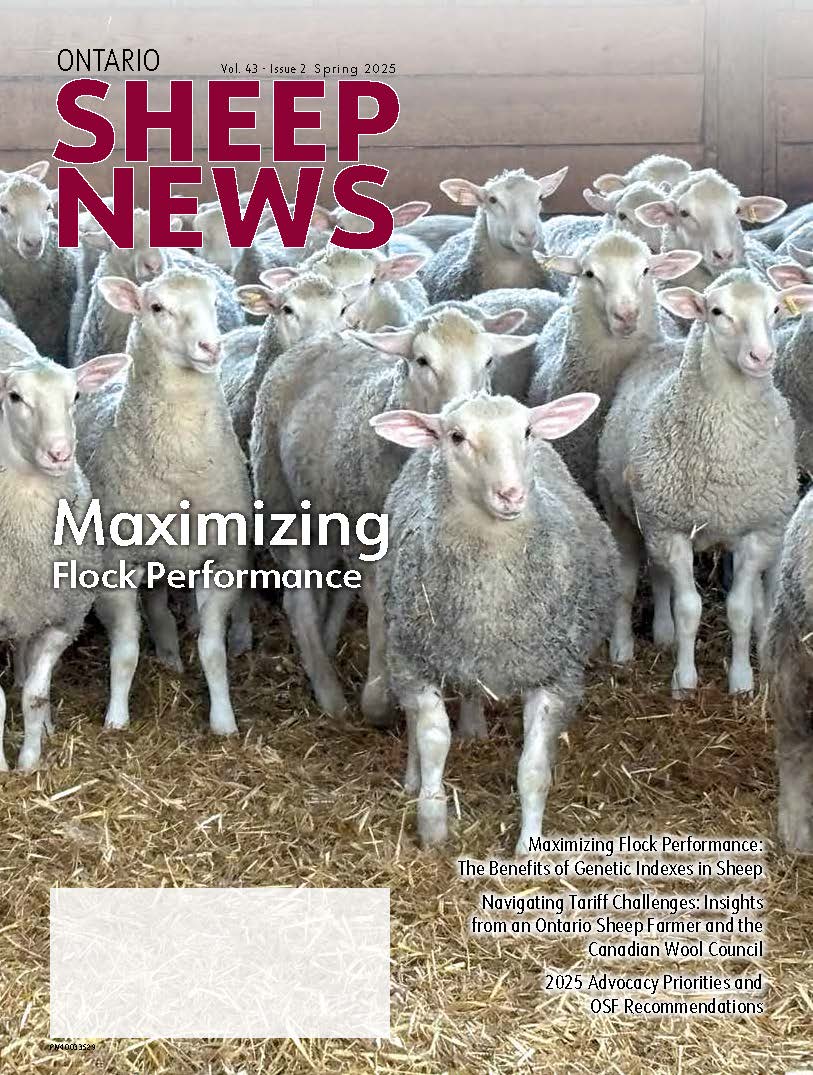 Spring Issue 2025