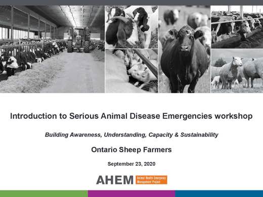 Introduction to Serious Animal Disease