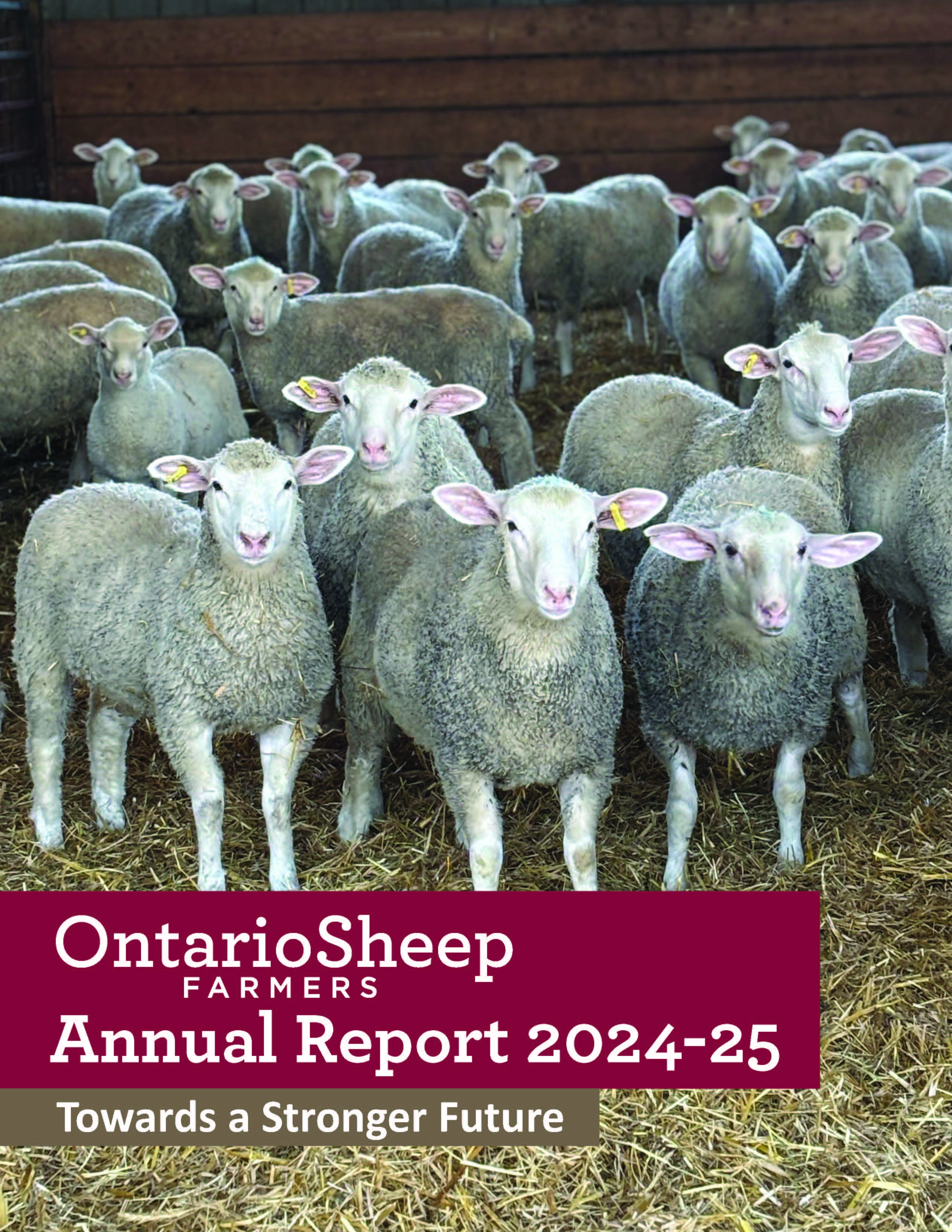 2024-2025 Annual Review 