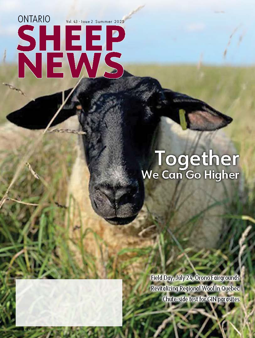 Summer Issue 2025